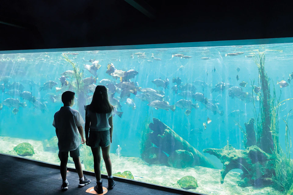 The only combined zoo and aquarium in NSW.