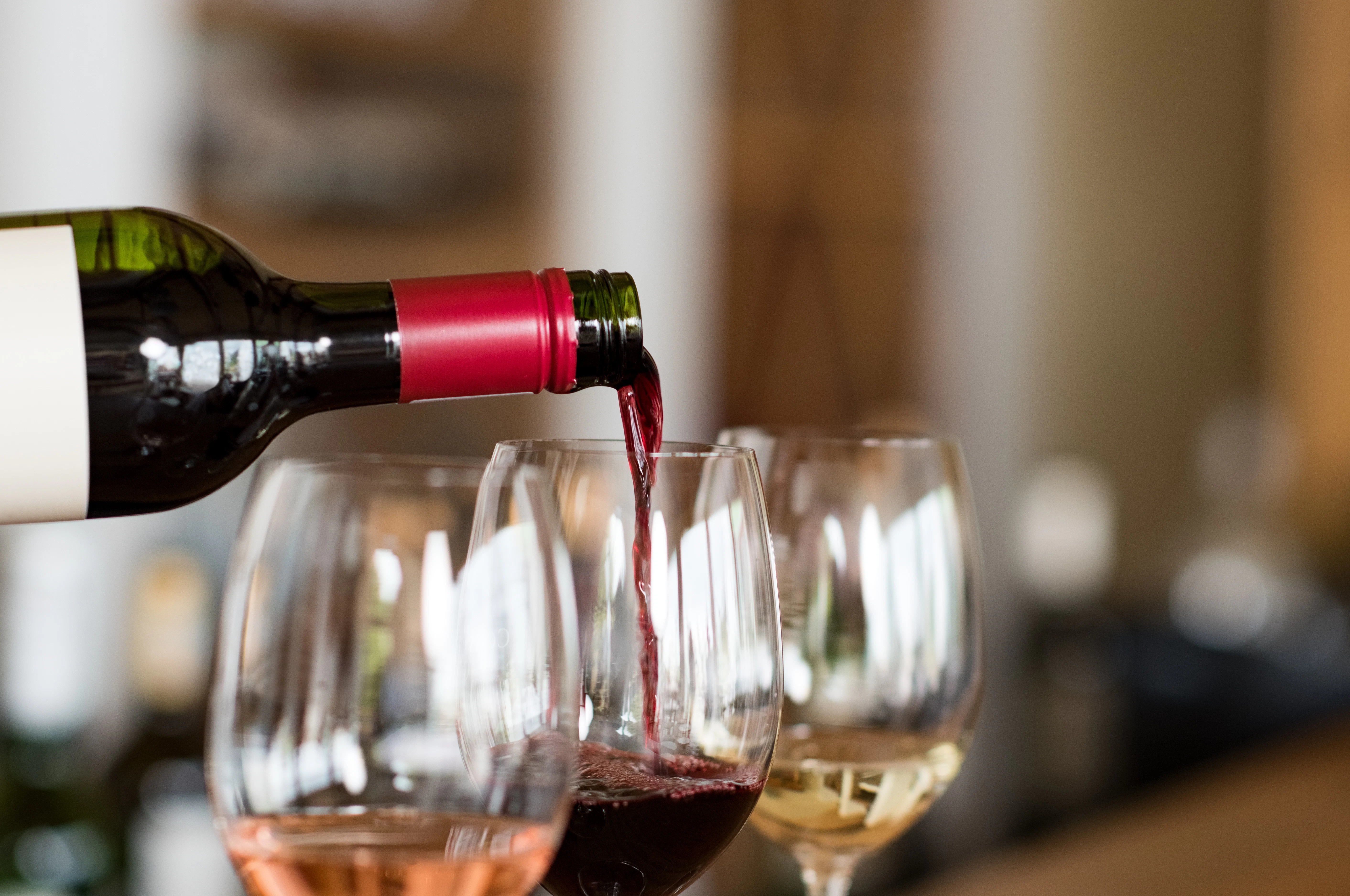 Médoc: Full-Day Wine Tour from Bordeaux