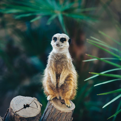 Barcelona Zoo: Skip The Line Ticket - Photo 5