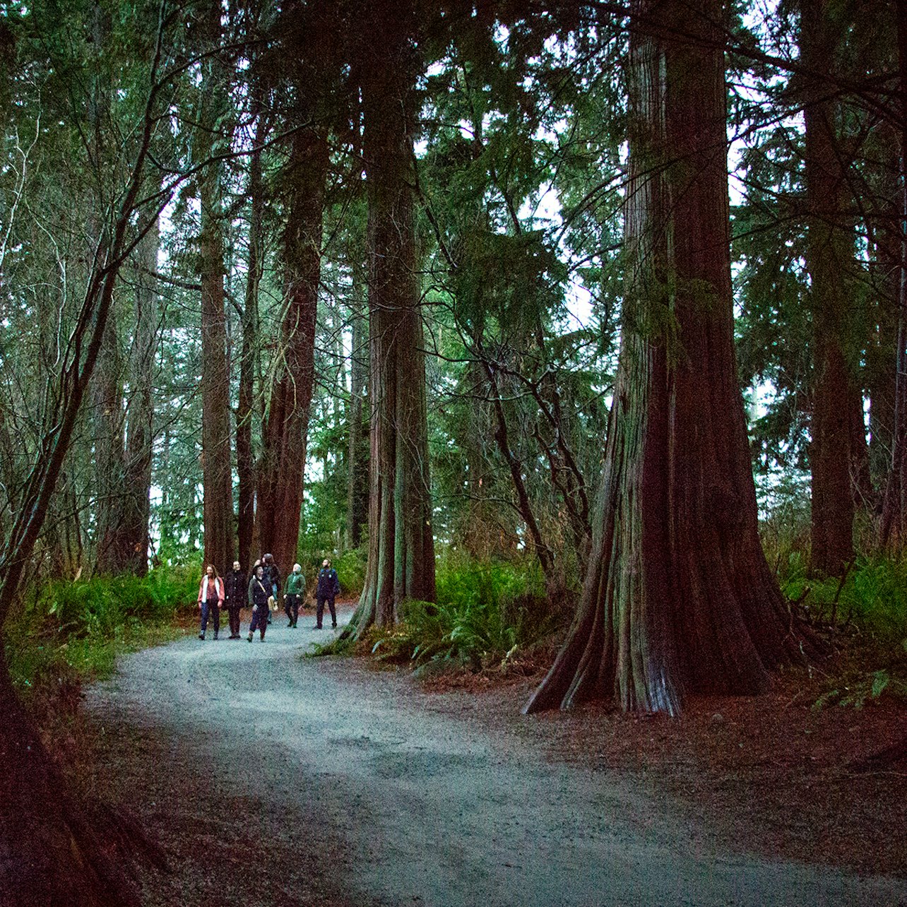 Il tour dei segreti oscuri del Parco Stanley - Alloggi in Vancouver