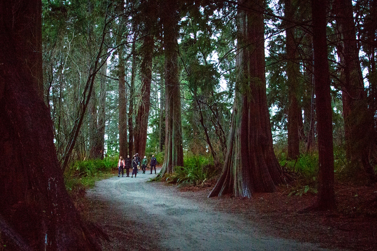 Il tour dei segreti oscuri del Parco Stanley - Alloggi in Vancouver