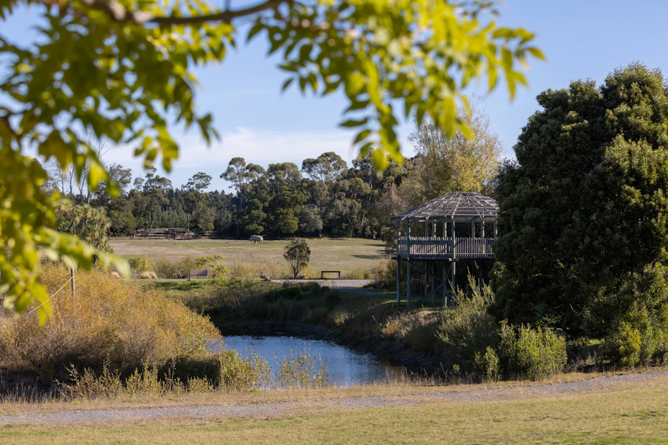 A serene park scene with a wooden gazebo by a small pond, surrounded by trees and grass under a clear sky.