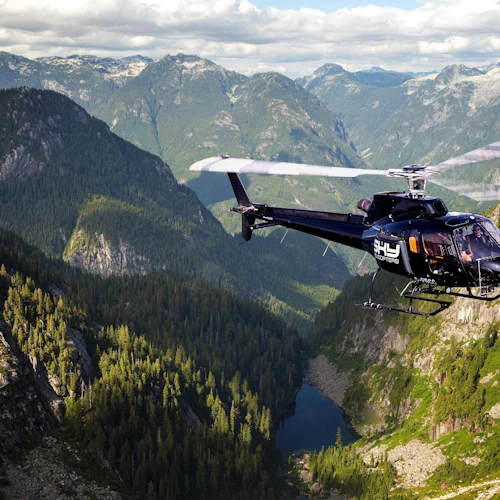 Vancouver: BC Backcountry 60 ou 90 minutos de voo premium de helicóptero - Photo 3