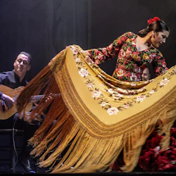 Bailaora.