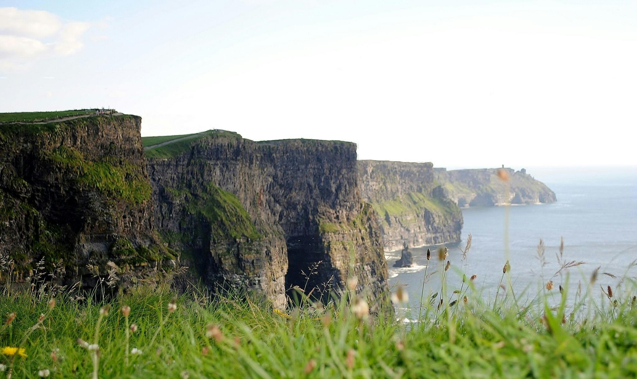 Scogliere torreggianti verdi e marroni che si affacciano sull'oceano con erbe selvatiche in primo piano sotto un cielo parzialmente nuvoloso.