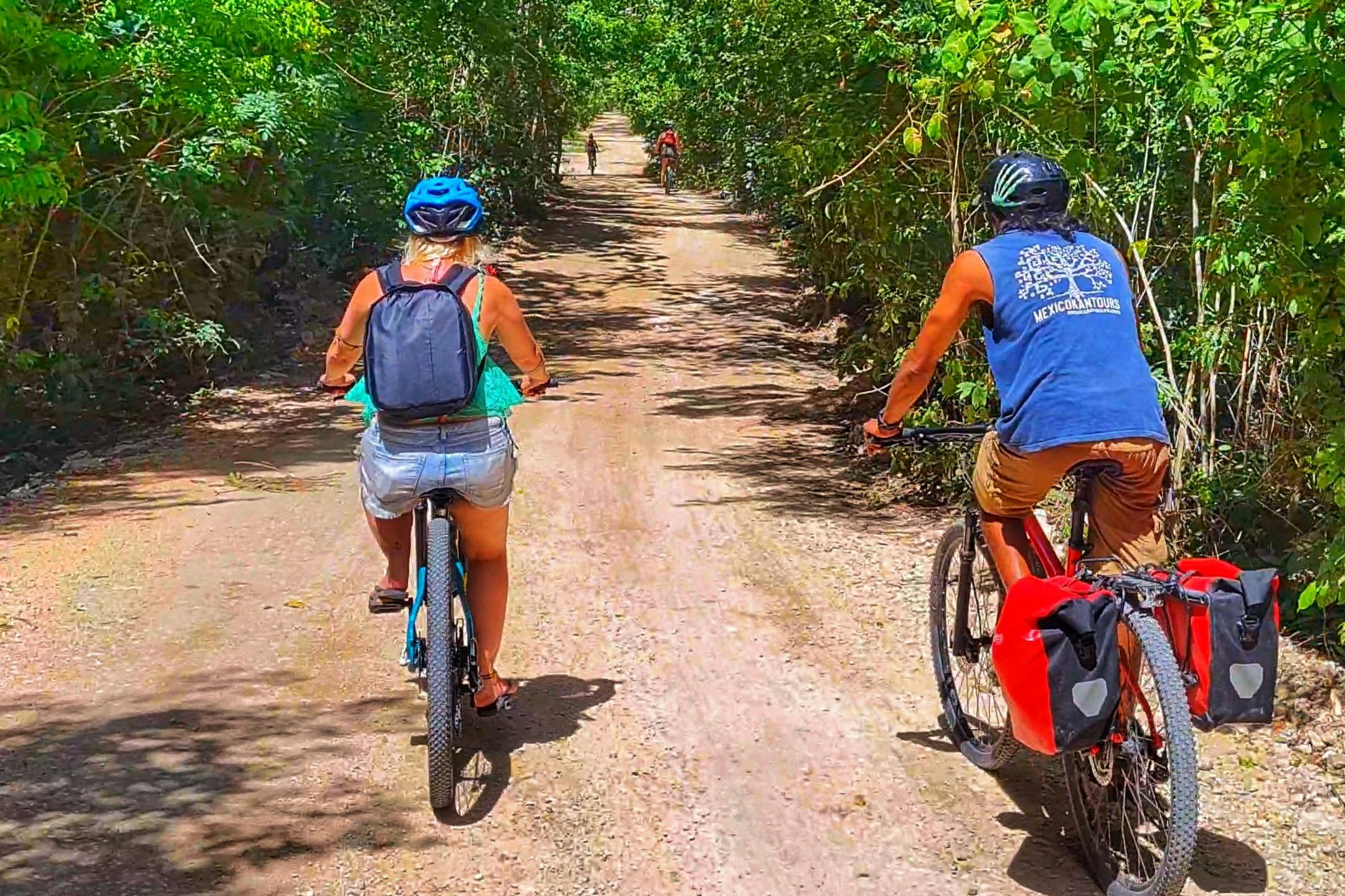 Jízdní kolo v džungli