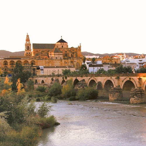 Córdoba and its Mosque: Full Day Tour from Granada Córdoba and its Mosque: Full Day Tour from Granada