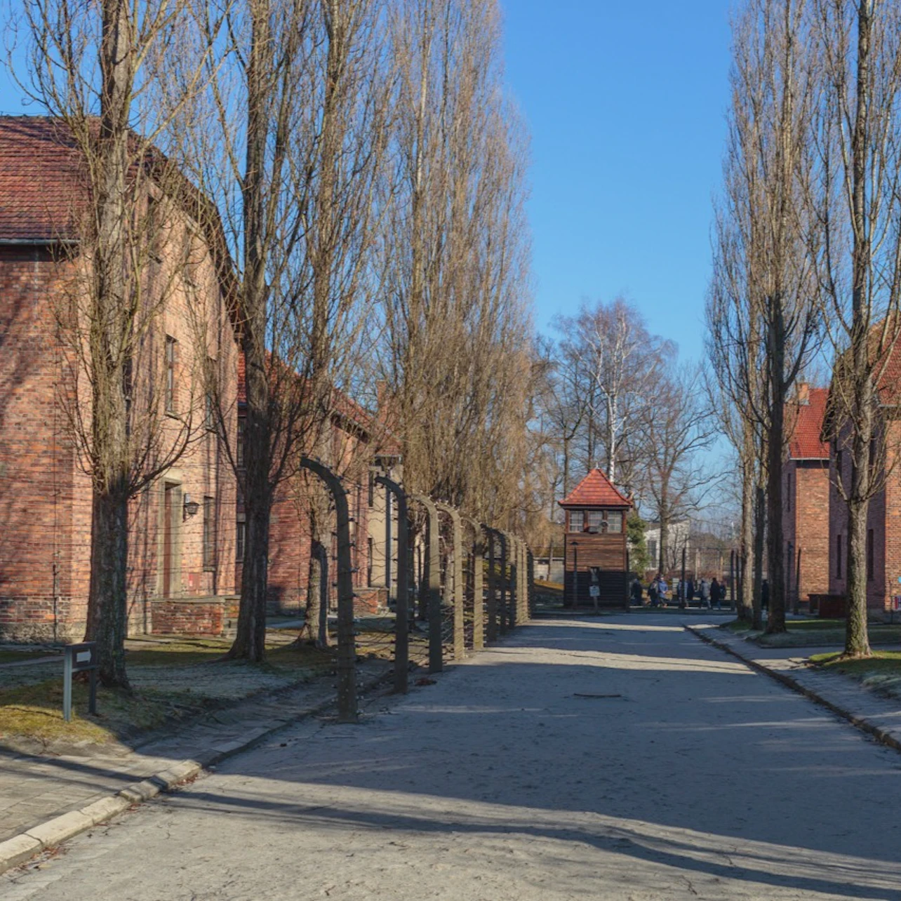 Auschwitz-Birkenau: Guided Tour + Transport in Krakow – Tiqets