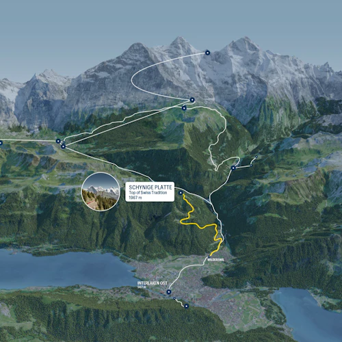 Schynige Platte: Roundtrip Rack Railroad From Wilderswil - Photo 10