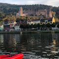 Blik op het kasteel van Heidelberg