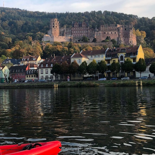 Excursiones en kayak por el río Neckar en Heidelberg
