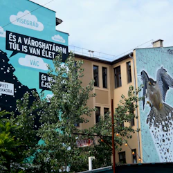 Väggmålningar på intilliggande byggnader: en med en fågel och kretsar, den andra med text, träd i förgrunden, mot en klar himmel.