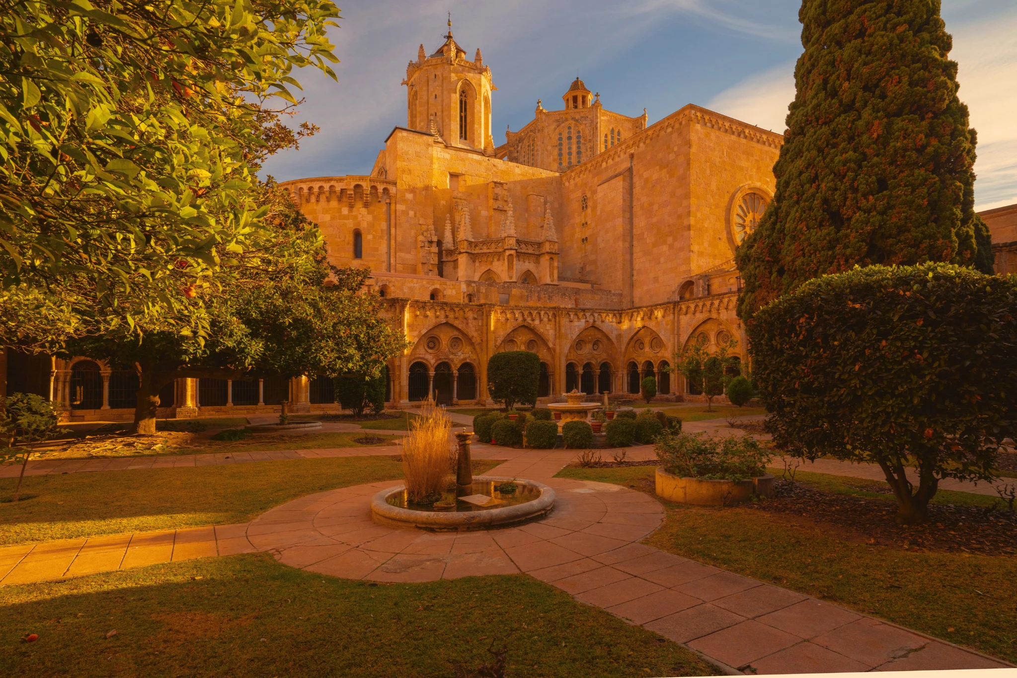 Tarragona Cathedral: Summer Nights Concert + Glass of Cava