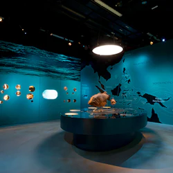 Lee Kong Chian Natural History Museum: Fix-Dated Entry Ticket