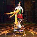 Cirque du Soleil JOYÀ, VIDAFEL