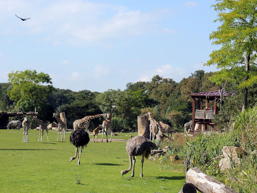 Leipzig Zoo Skip The Line Tickets