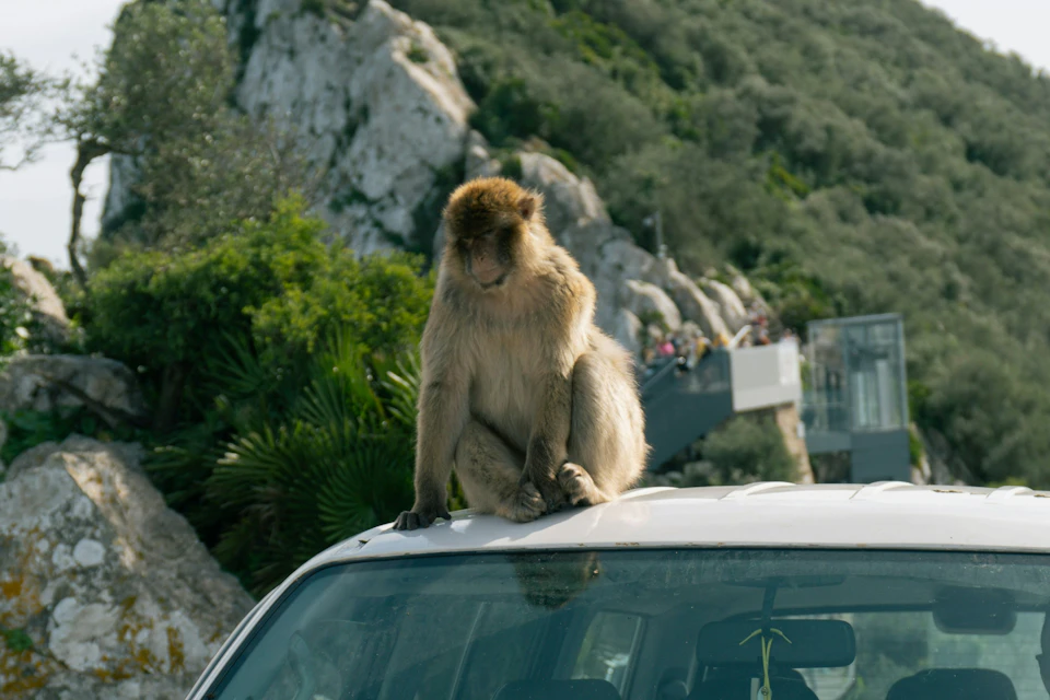 Gibraltar