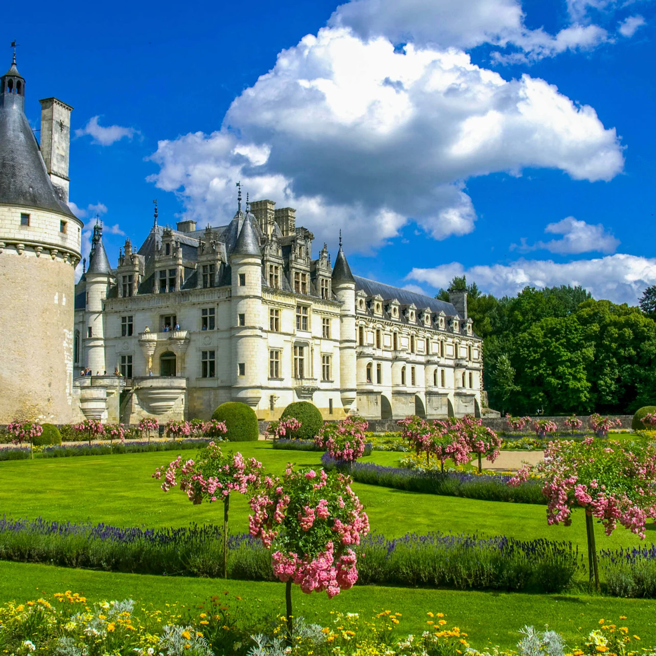 A grand castle with turrets and manicured gardens, featuring pink flowering trees and green lawns under a blue sky with clouds.