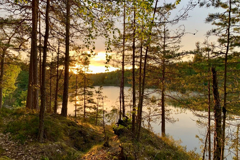 Tyresta Sunset Hike