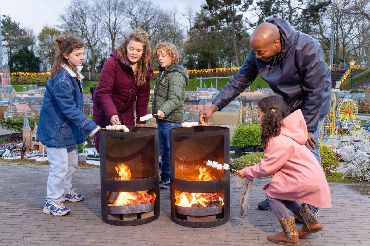 公園内にある屋外の焚き火台2か所でマシュマロをローストしている人々のグループ。木や装飾が背景になっています。