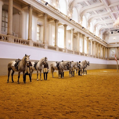 Tour Image