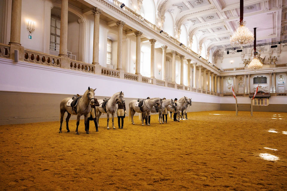 Six saddled horses stand in a row in an ornate indoor arena with columns and high, decorated ceilings.