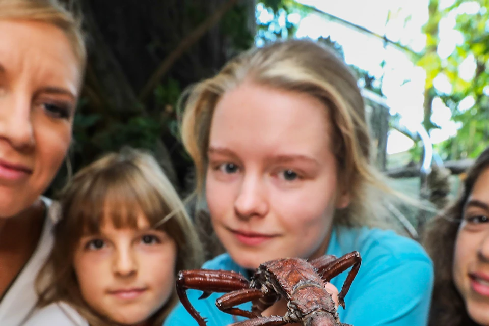 Four people looking at a large insect held by one of them, indoors with greenery in the background.