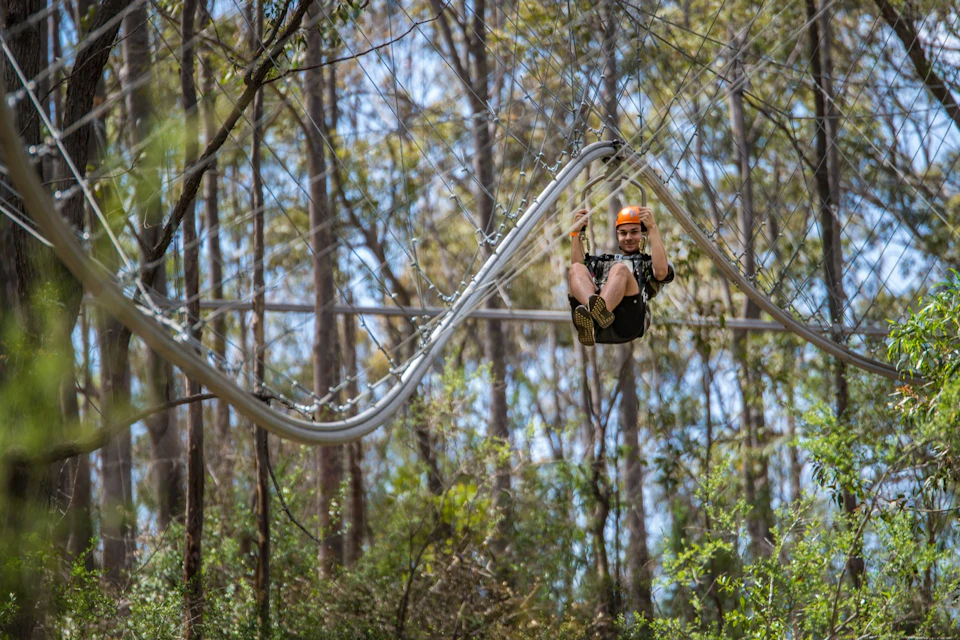 A person wearing a helmet and harness rides on a zipline through a forested area on a bright day.