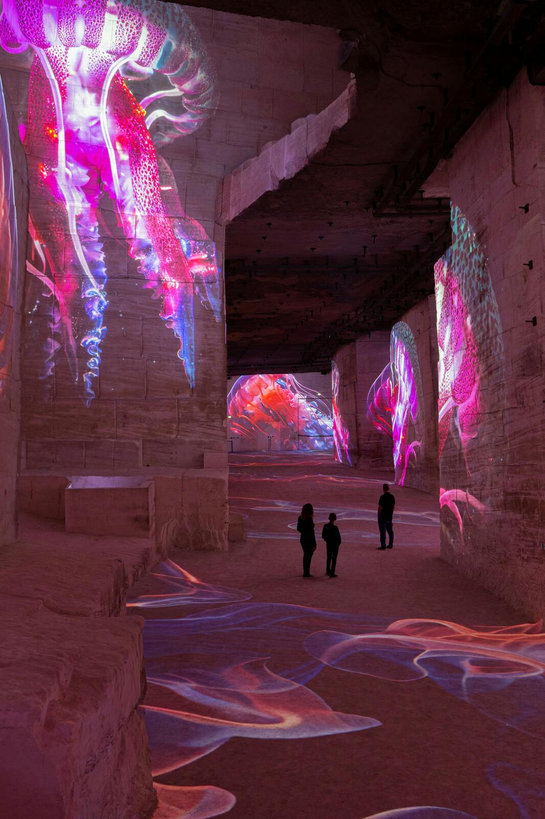Carrières des Lumières : Ocean Exposition