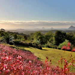 Maleny Botanic Gardens & Bird World: Entry Ticket 5