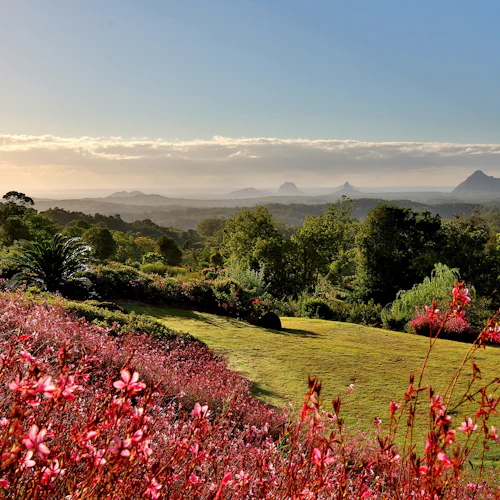 Maleny Botanic Gardens & Bird World: Entry Ticket - Photo 5