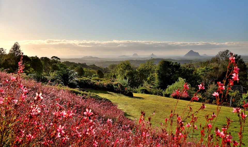 A scenic landscape with red flowers in the foreground, a grassy field, lush trees, and distant mountains under a clear sky.