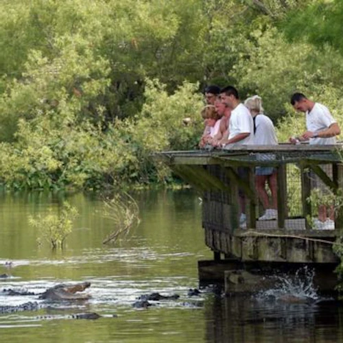Gatorland Orlando: Skip The Line Ticket - Photo 4