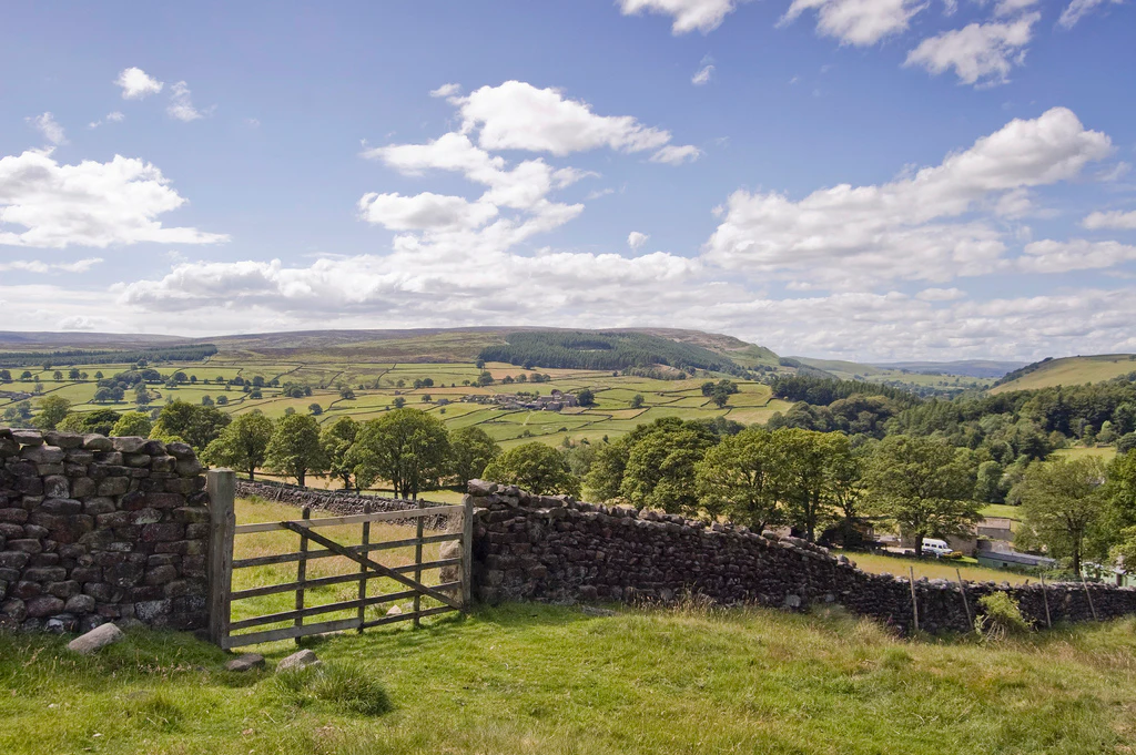 Yorkshire Dales: excusão de 1 dia a partir de York