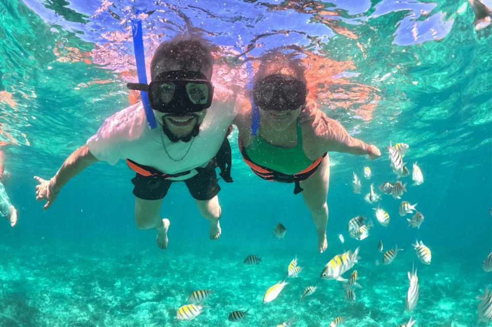 Underwater moments with colorful marine life in Cancun!