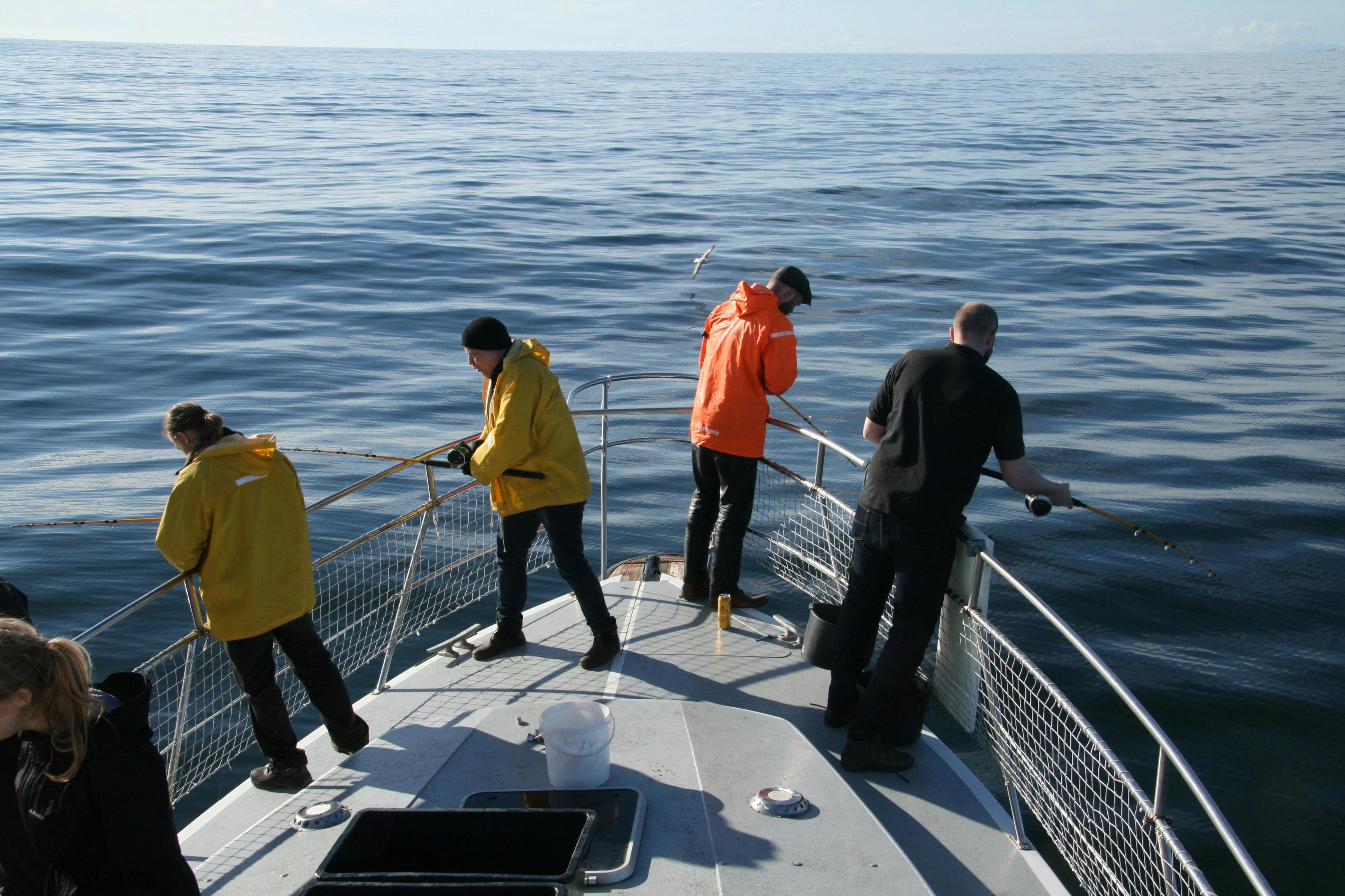 En gruppe mennesker fisker med stænger i havet fra en yacht.
