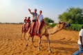 Familietur på kamel