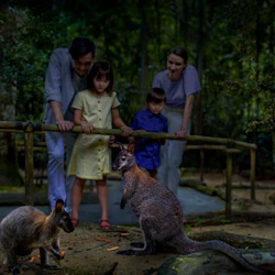 Singapore Night Safari with Tram Ride 2