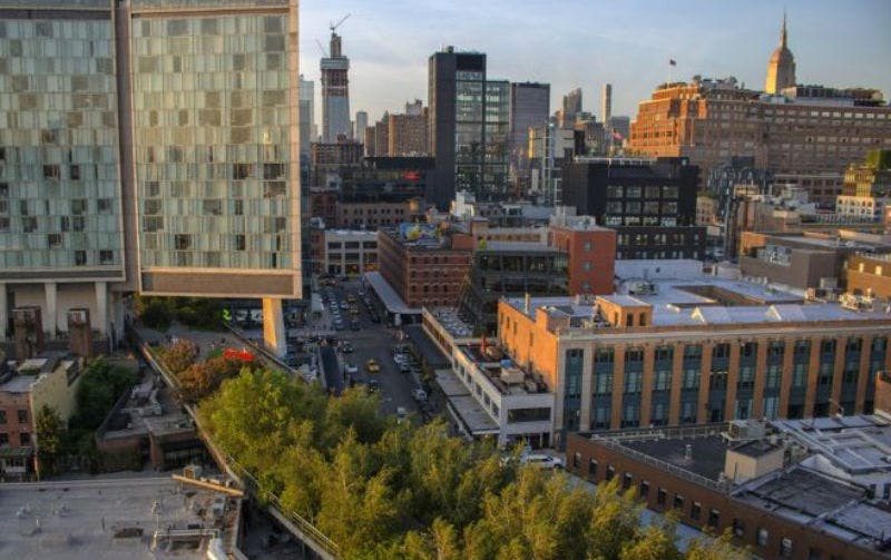 높은 건물, 건설 크레인, 현대적이고 오래된 벽돌 구조물이 어우러진 도시 풍경. 앞쪽에 나무가 있습니다.