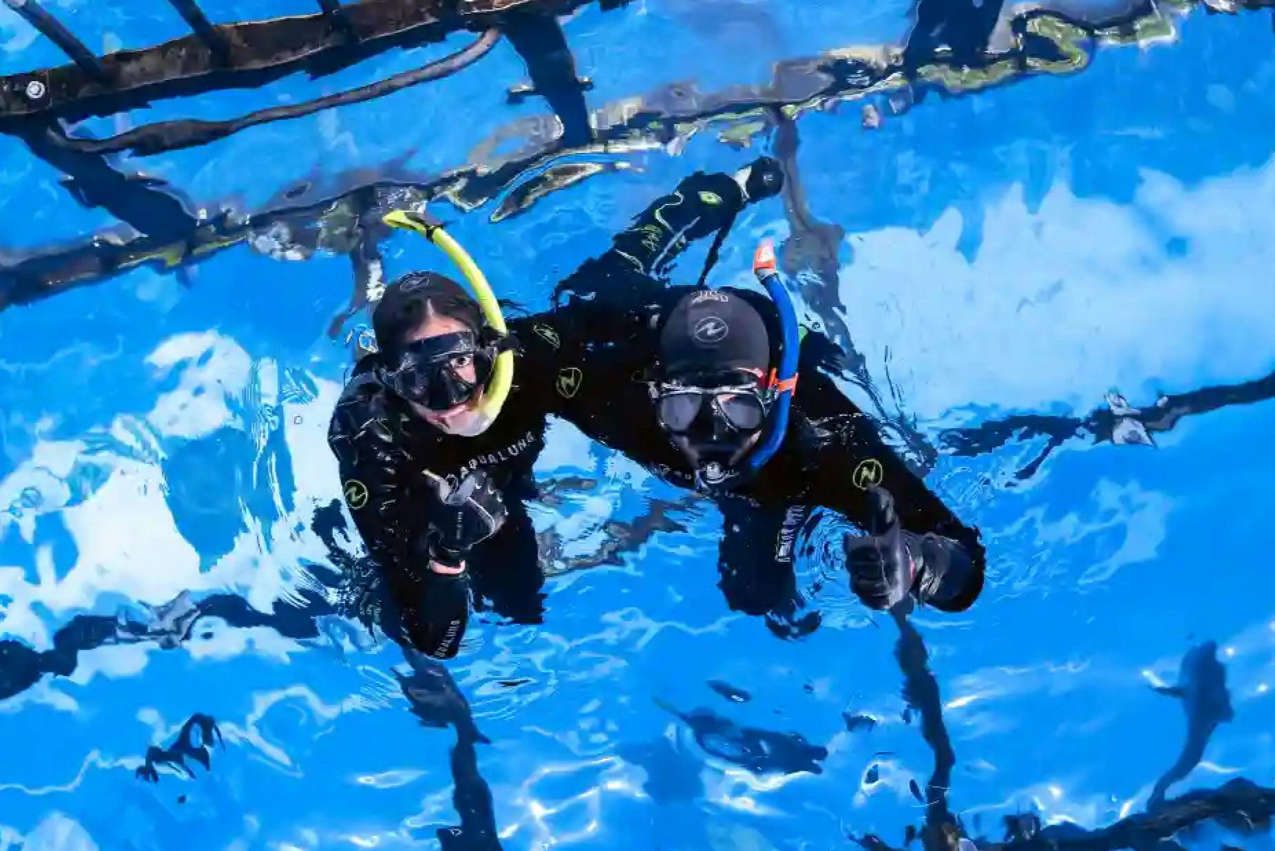 Dubai Aquarium and Underwater Zoo: Cage Snorkeling