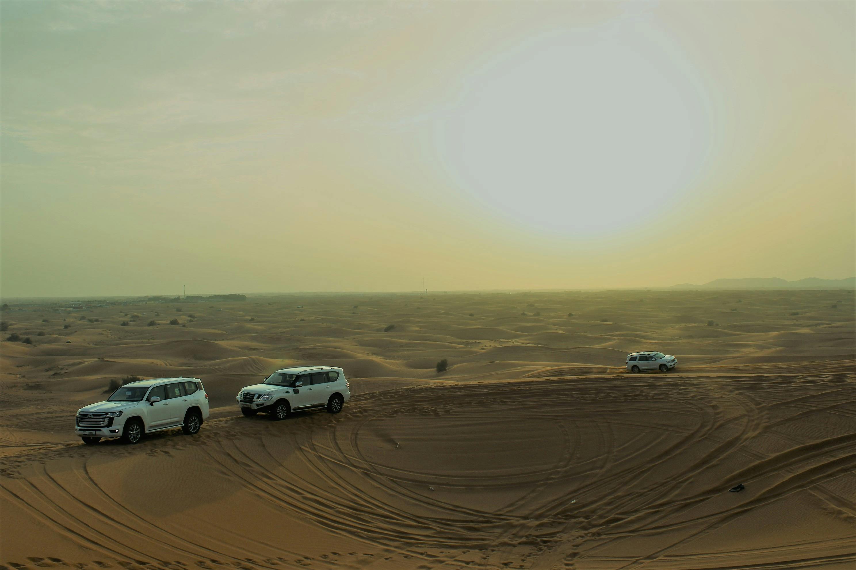 Dubai: Sunset Desert Safari Tour + Camel Ride + BBQ Dinner 5