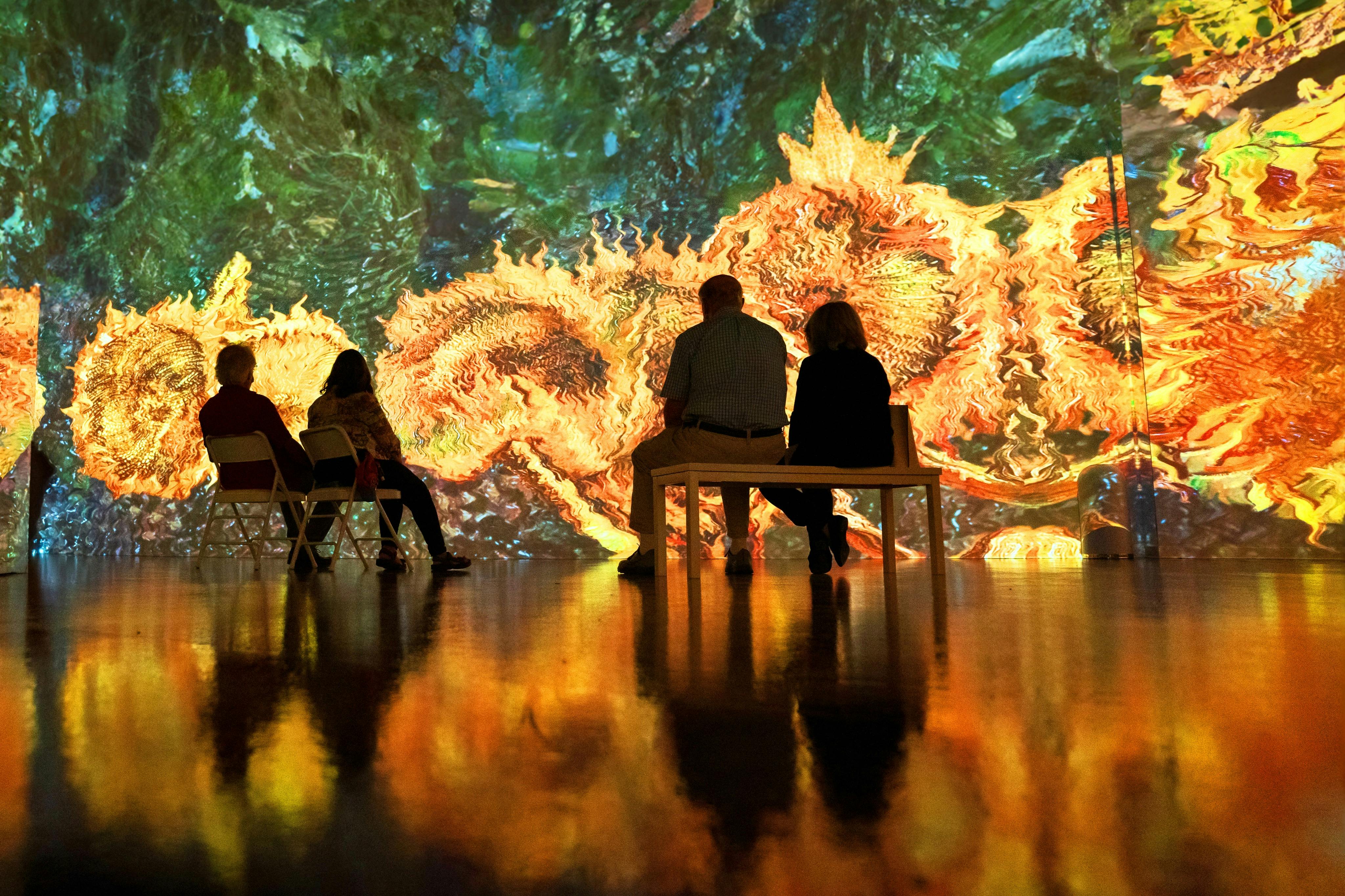 身临其境的梵高拉斯维加斯