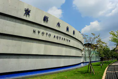 京都水族館: 入場券 + 京都鉄道博物館: 入場券 京都水族館: 入場券 + 京都鉄道博物館: 入場券