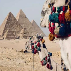 Cairo: City Tour 4