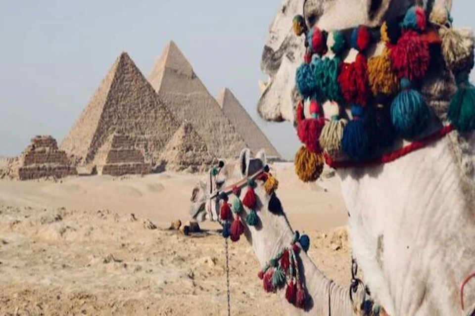 Riding camels in the pyramids