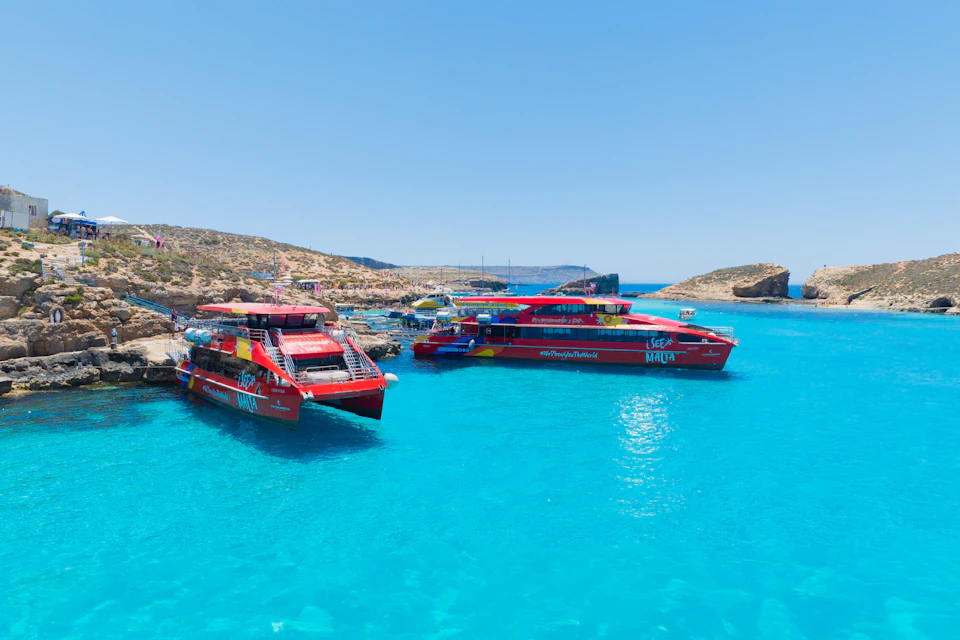 Cruise