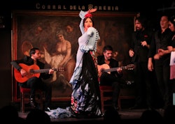 Evening | Madrid Flamenco Shows things to do in Cortes