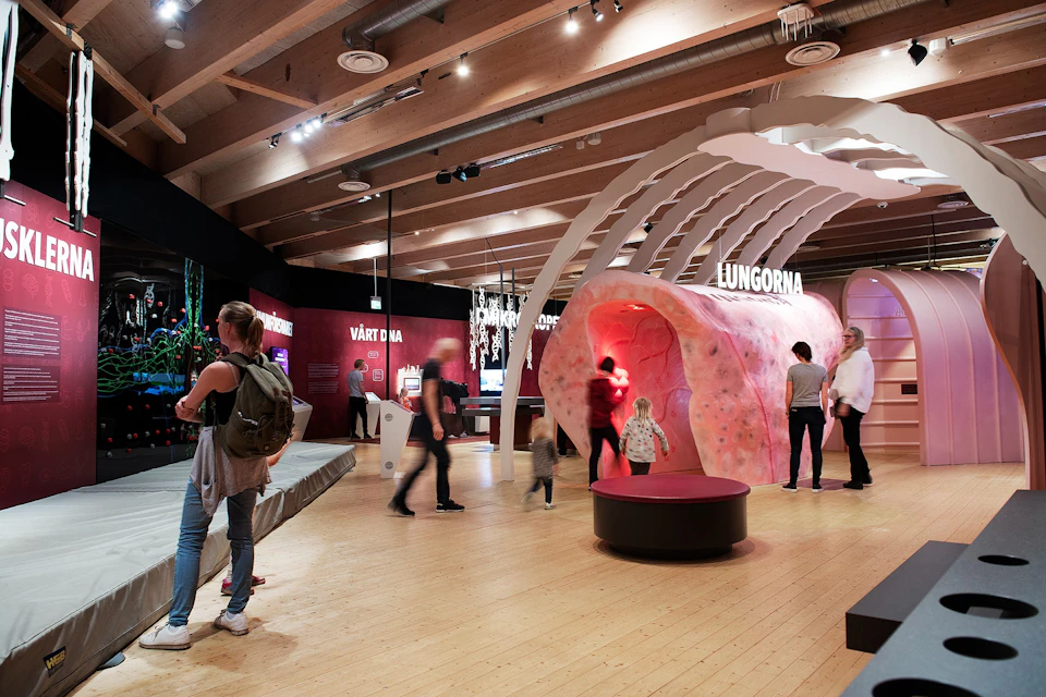 People exploring a science exhibit featuring a large, interactive lung model under a wooden roof with several lights.