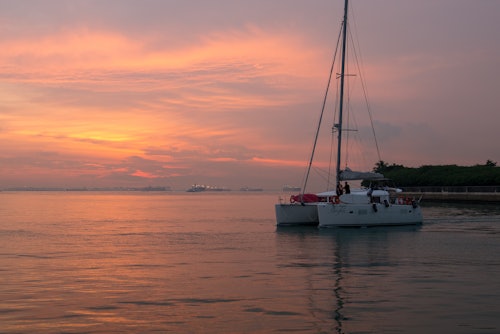 Singapore: Cruise from Sentosa with Paddle Boarding or Kayaking