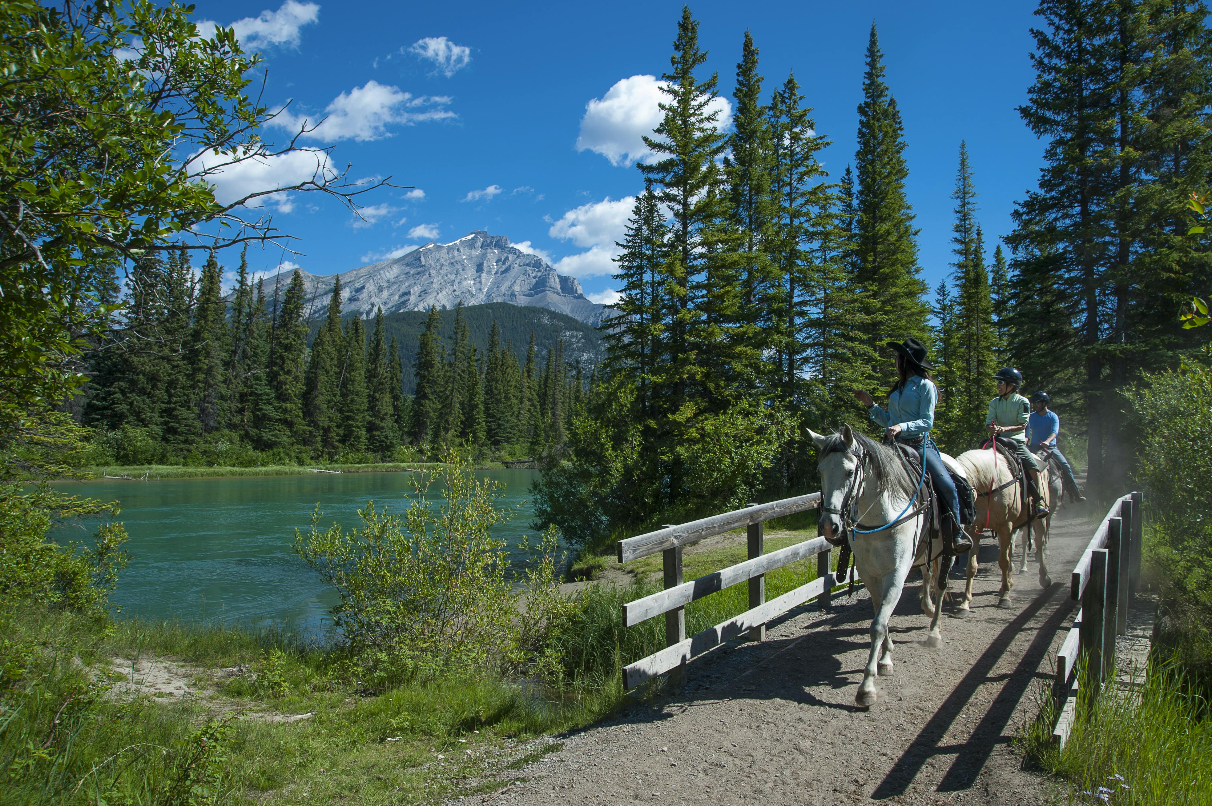 Banff Trail Riders - hourly ride